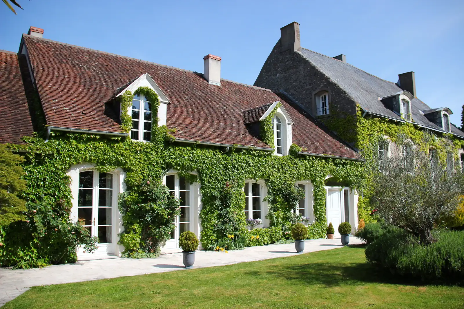 Maison de pierre couverte de lierre avec son jardin